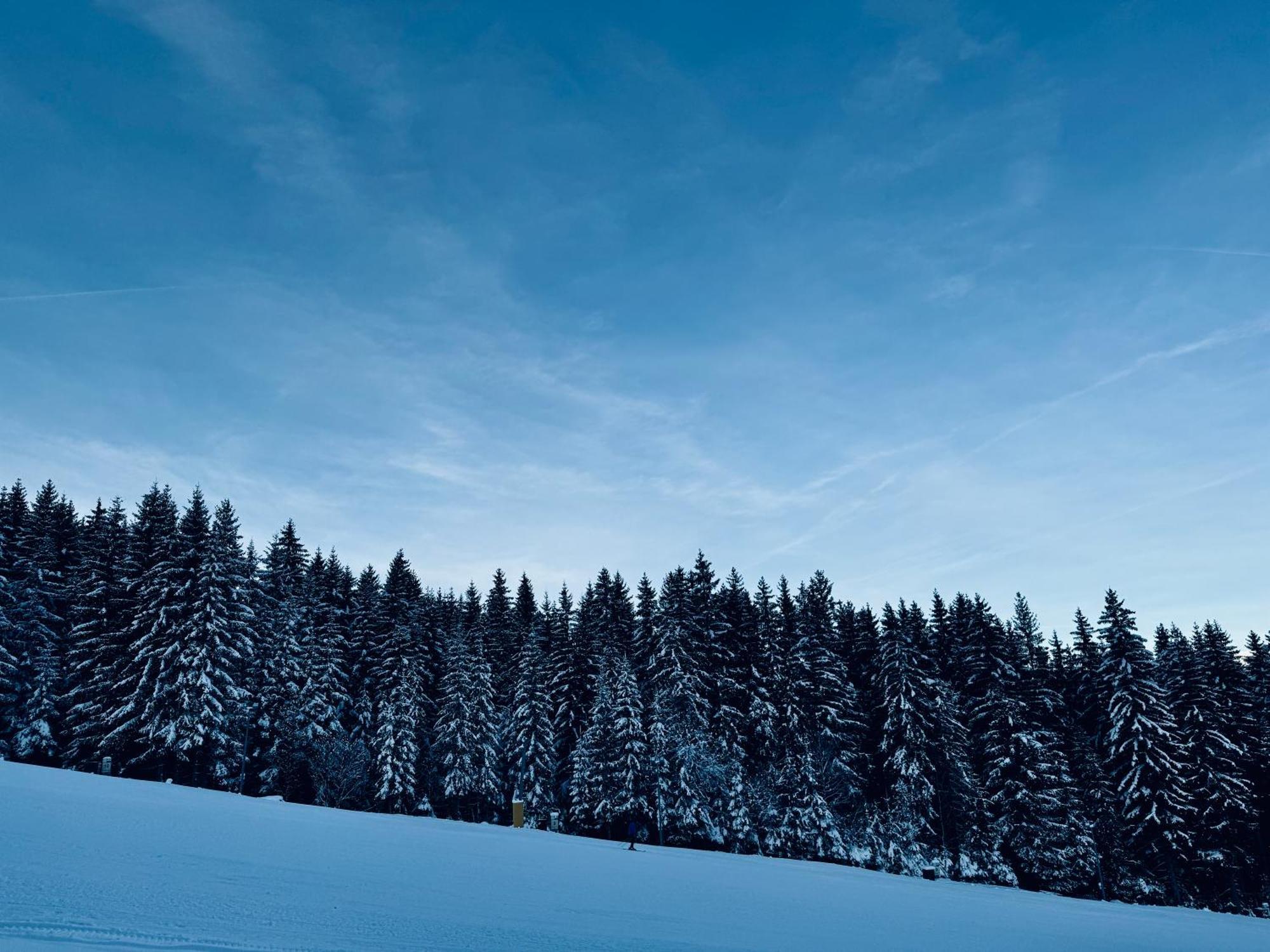 Hotel Myslivna Harrachov Zewnętrze zdjęcie